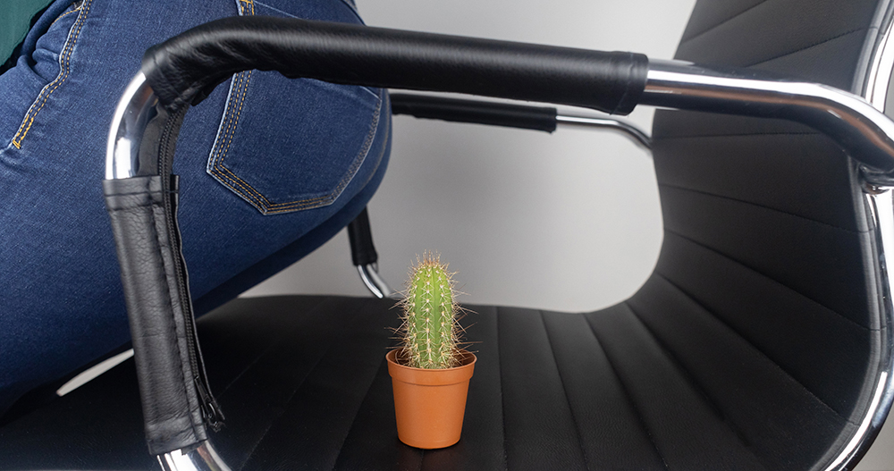 Concept. A woman holds a cactus as a symbol of rectal pain. Vari